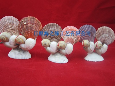 廠家直銷 海螺貝殼批發 貝殼工藝品 貝殼小鴛鴦
