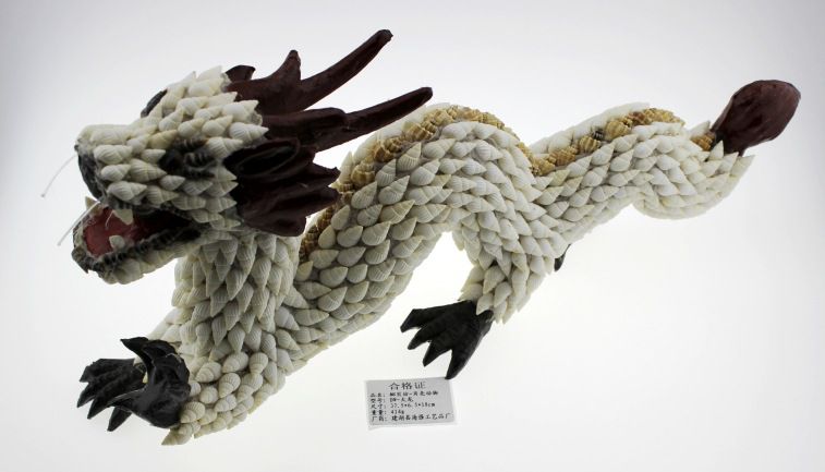 廠家直批 天然貝殼海螺工藝品批發 貝殼動物 大龍擺件 大飛龍